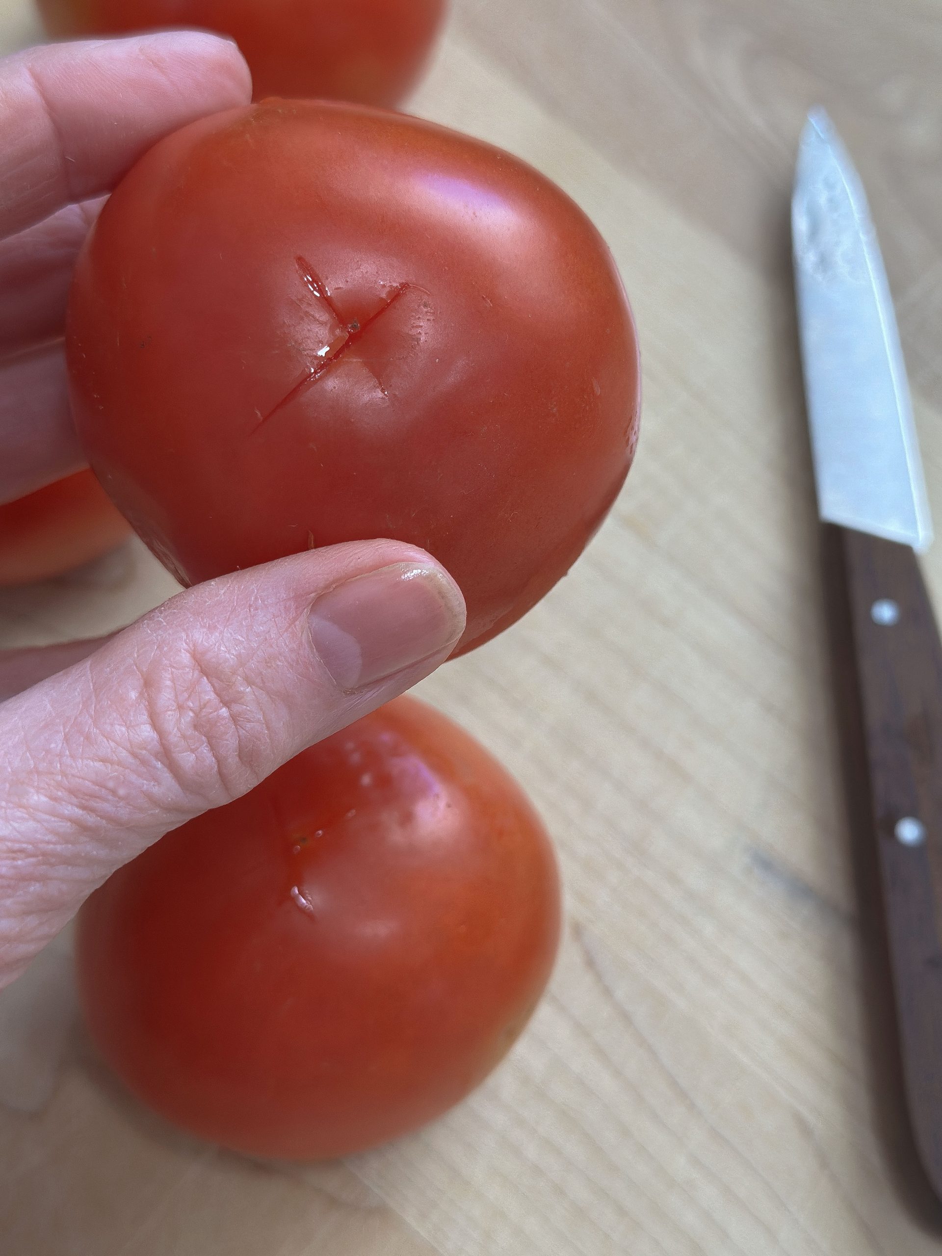 A close-up of a hand holding a ripe tomato with an “X” scored on the bottom, ready for blanching and peeling.