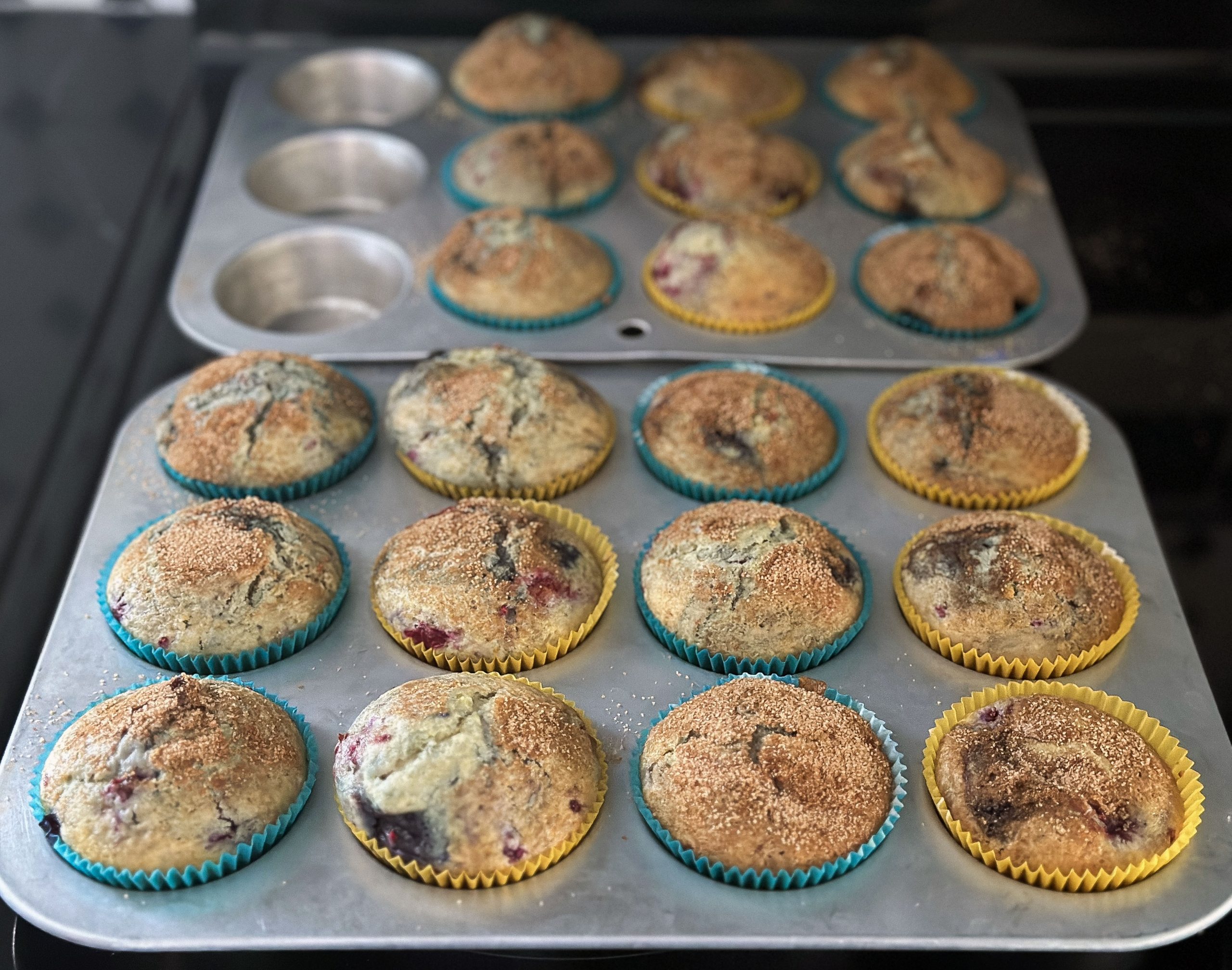 Two trays of freshly baked berry muffins, with golden brown tops, cooling in the muffin tins.